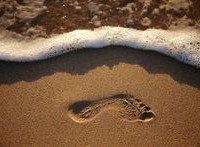 David Kenneth Williams